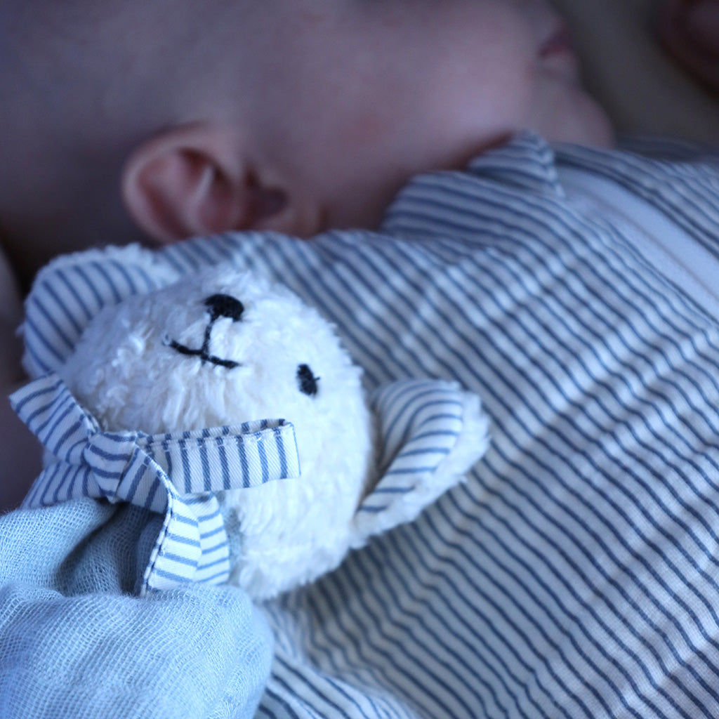 Teddy Bear - OCS Off White