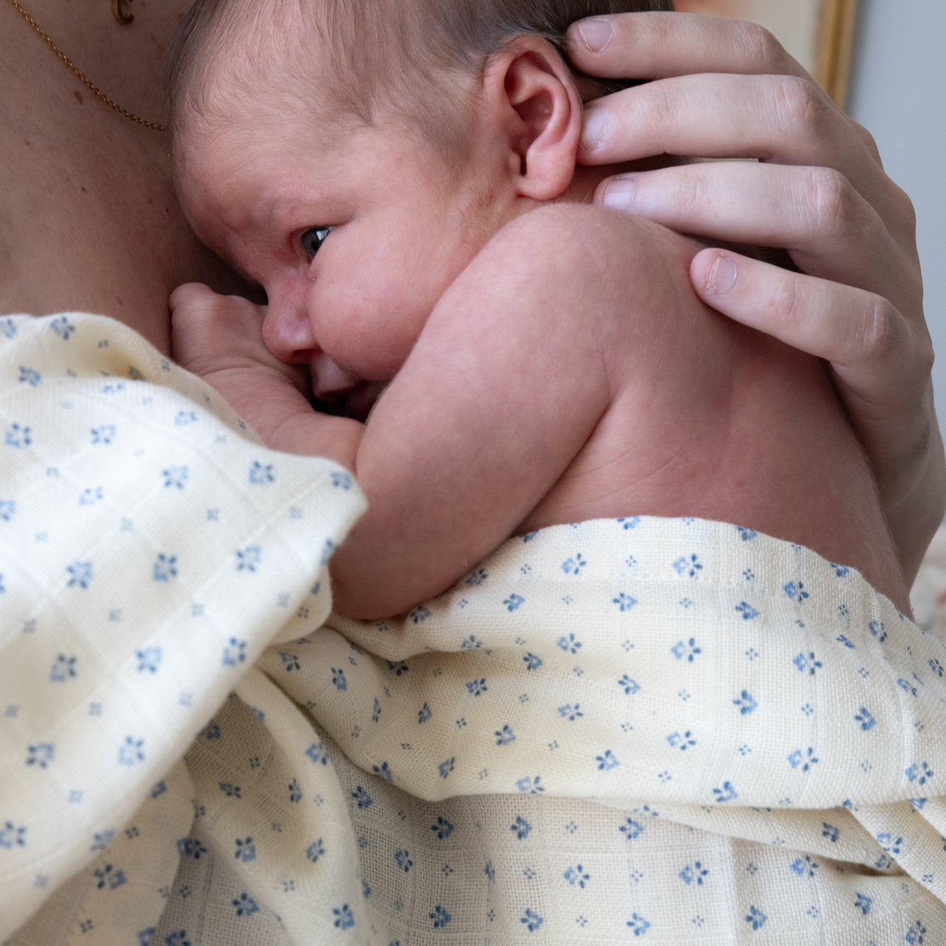 Muslin Cloth, Printed, 2-pack - GOTS - Capri