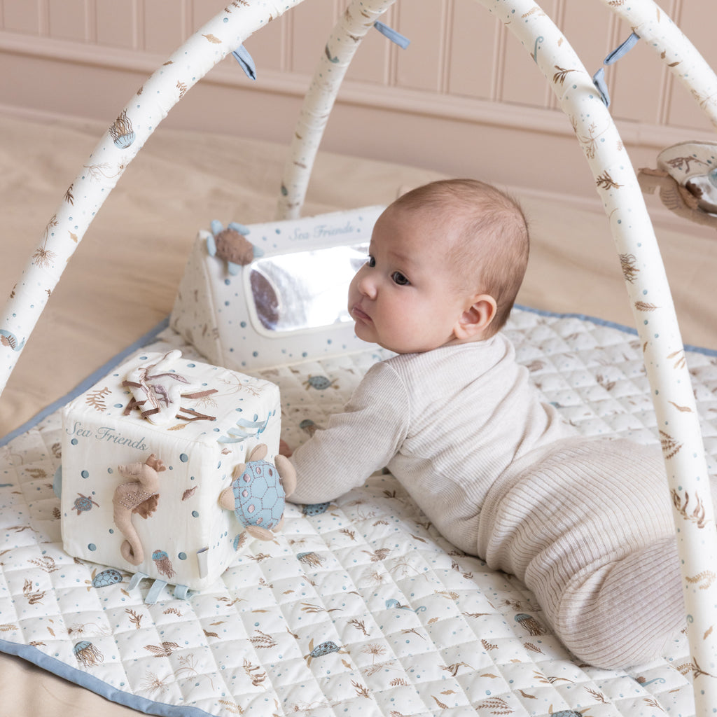 Activity Cube - OCS - Sea Garden