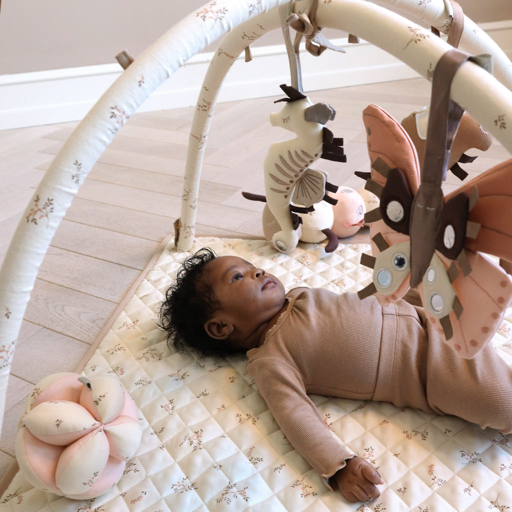 Fabric Baby Gym - OCS Ashley