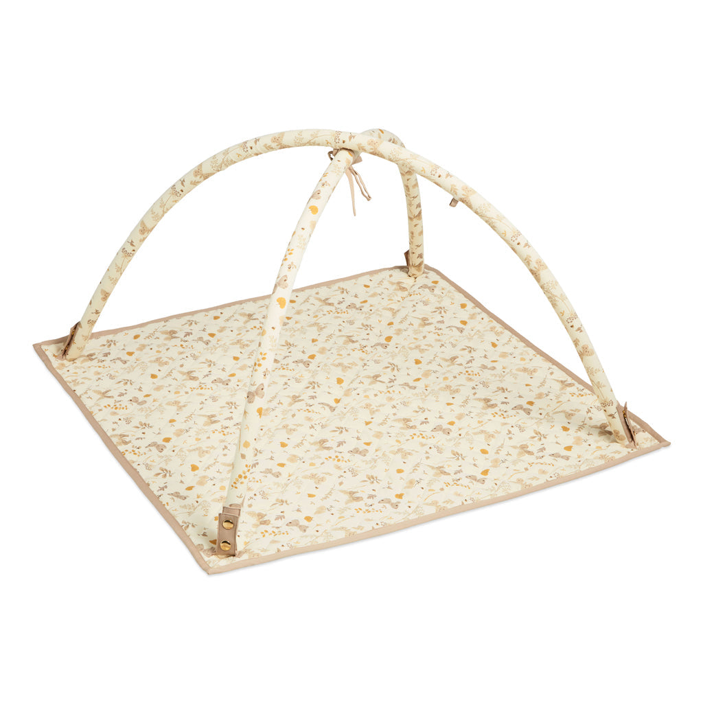 Fabric Baby Gym - OCS Butterflies