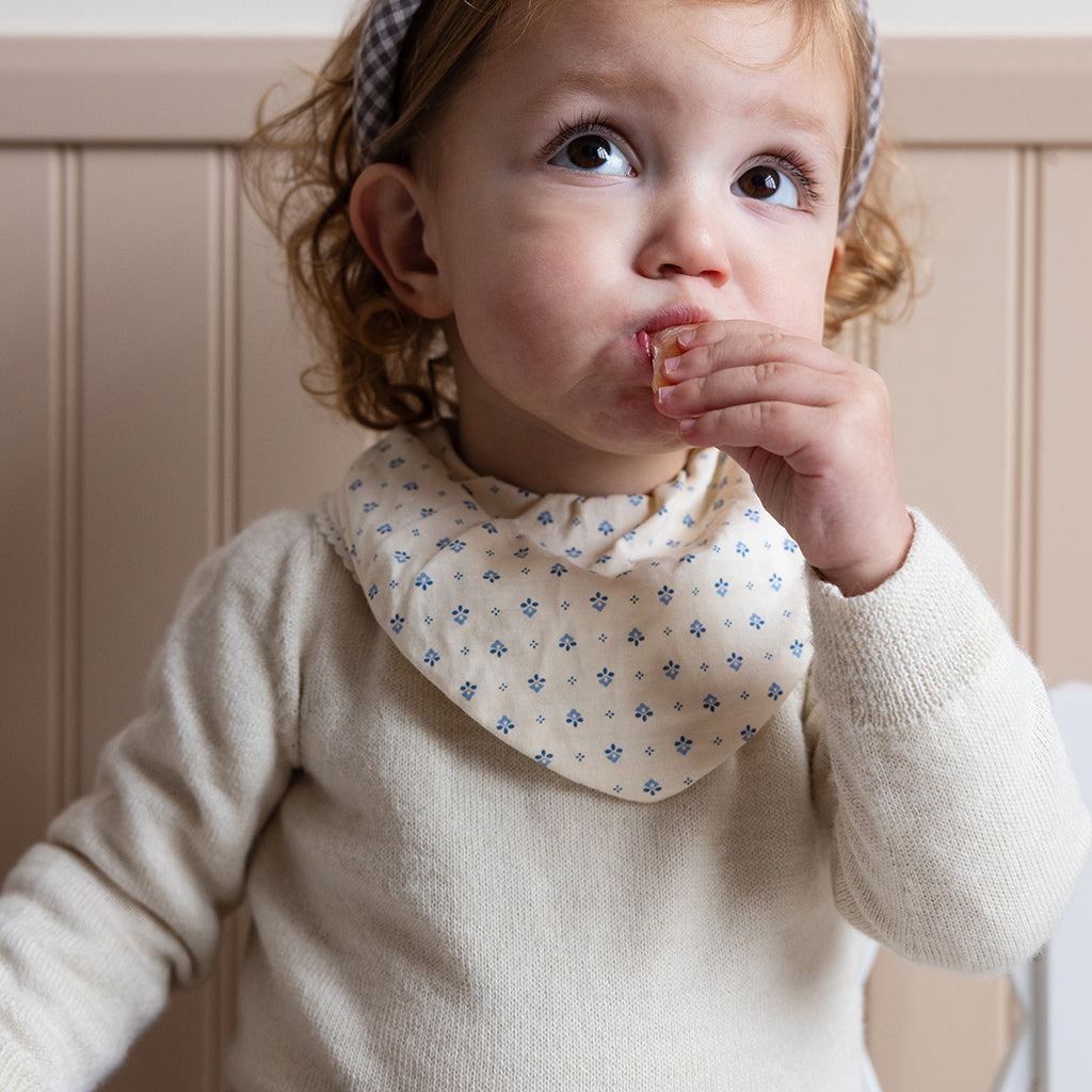 Bandana Bib, Jersey, 2-Pack - GOTS - Capri